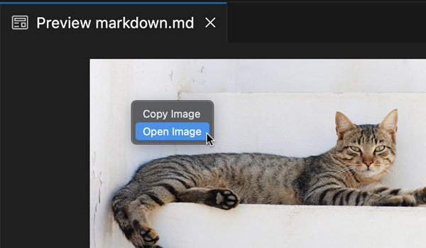 Screenshot that shows the context menu option to open an image in the Markdown preview.